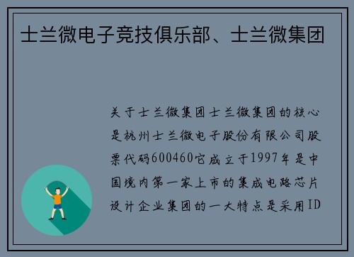 士兰微电子竞技俱乐部、士兰微集团